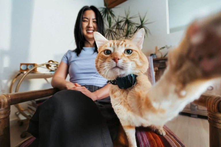 Fi lança rastreador GPS Mini, quase do tamanho de um AirTag, para cães e gatos