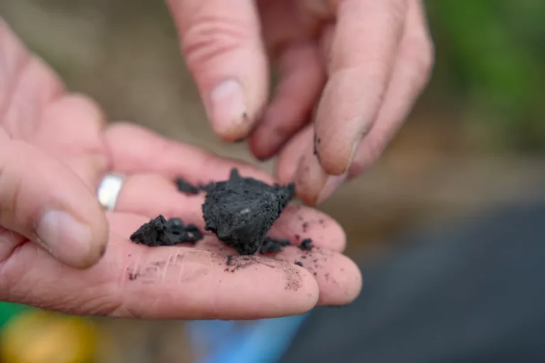 Terraton capta US$ 11,5 milhões para replicar modelo de franquia no setor de biochar