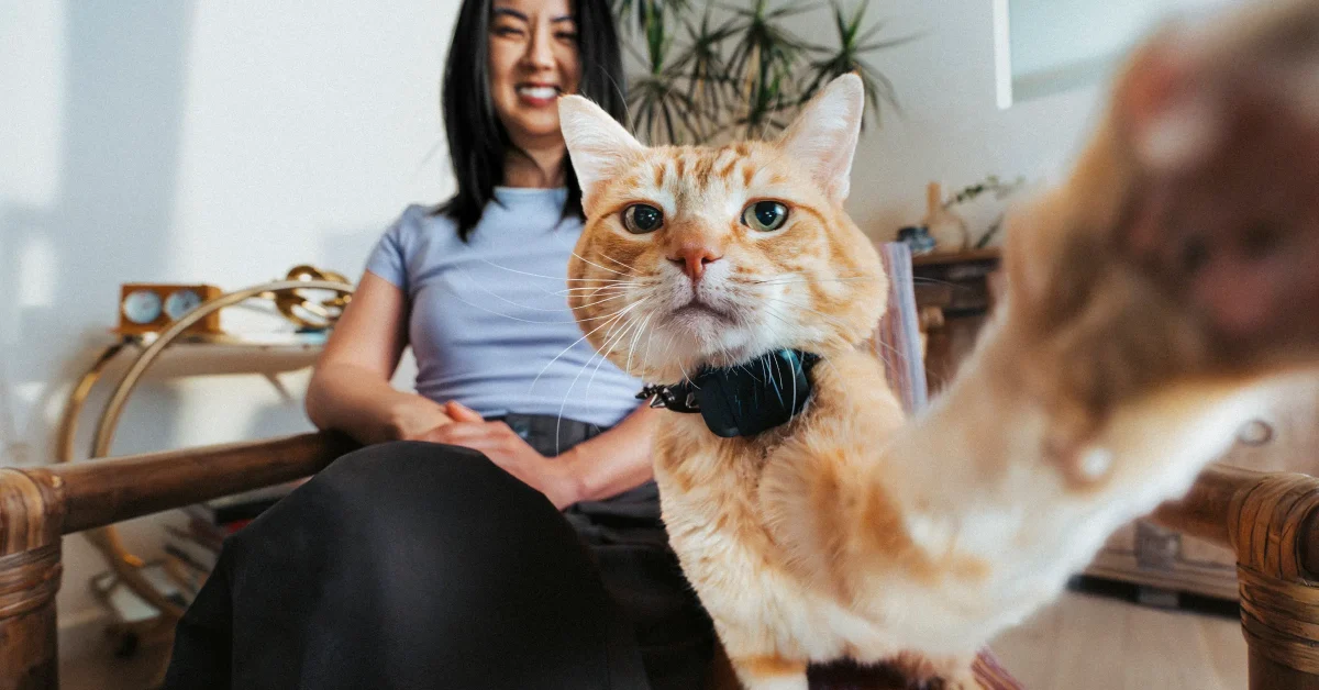 Imagem destacada - Fi lança rastreador GPS Mini, quase do tamanho de um AirTag, para cães e gatos