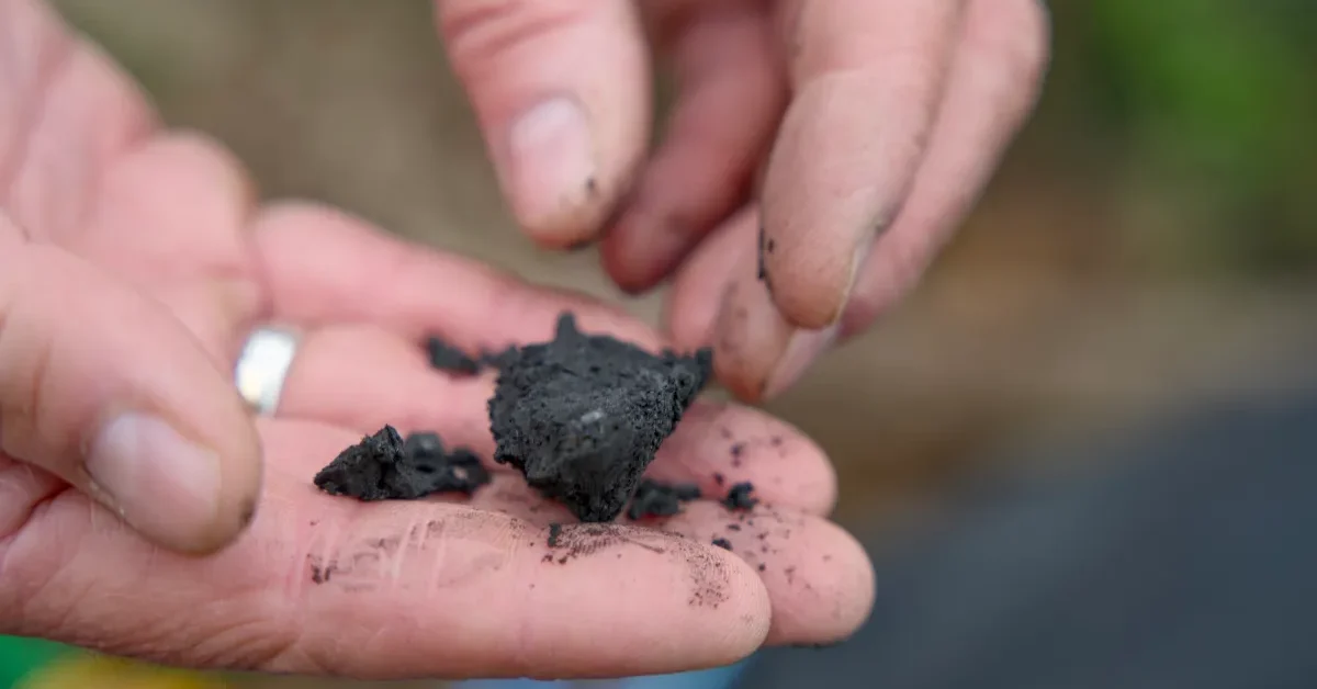 Imagem destacada - Terraton capta US$ 11,5 milhões para replicar modelo de franquia no setor de biochar